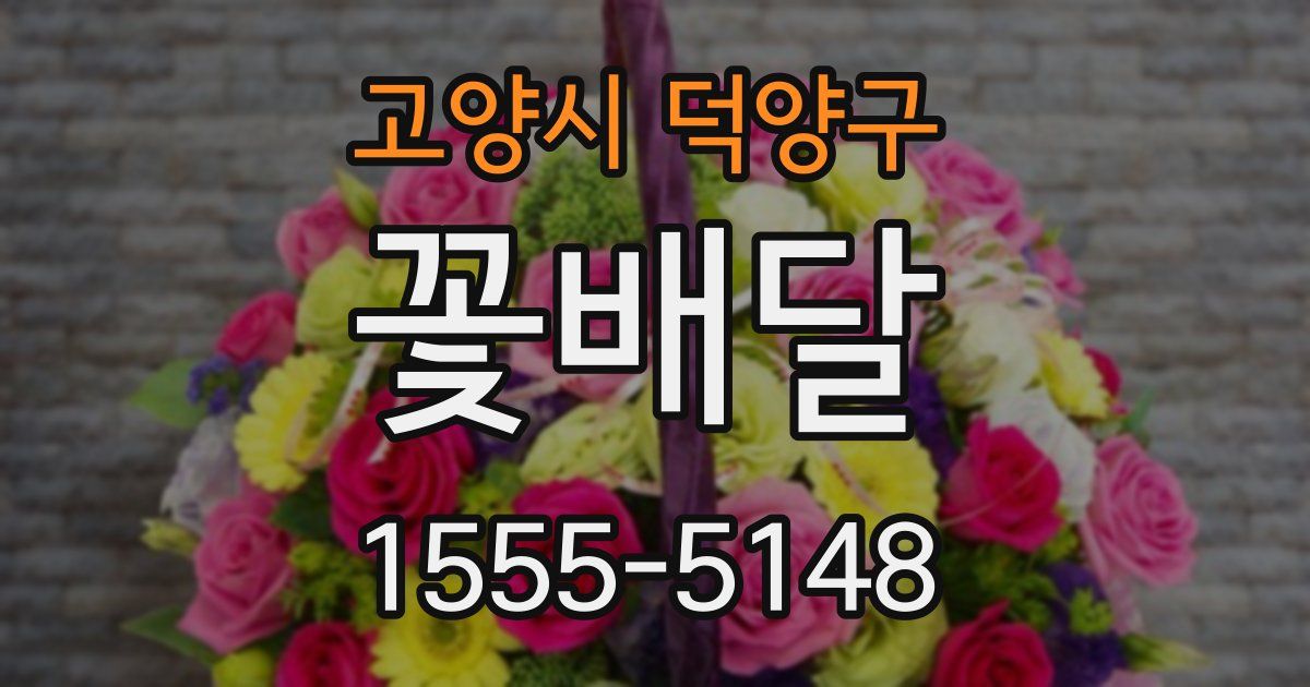 고양시 덕양구 꽃배달