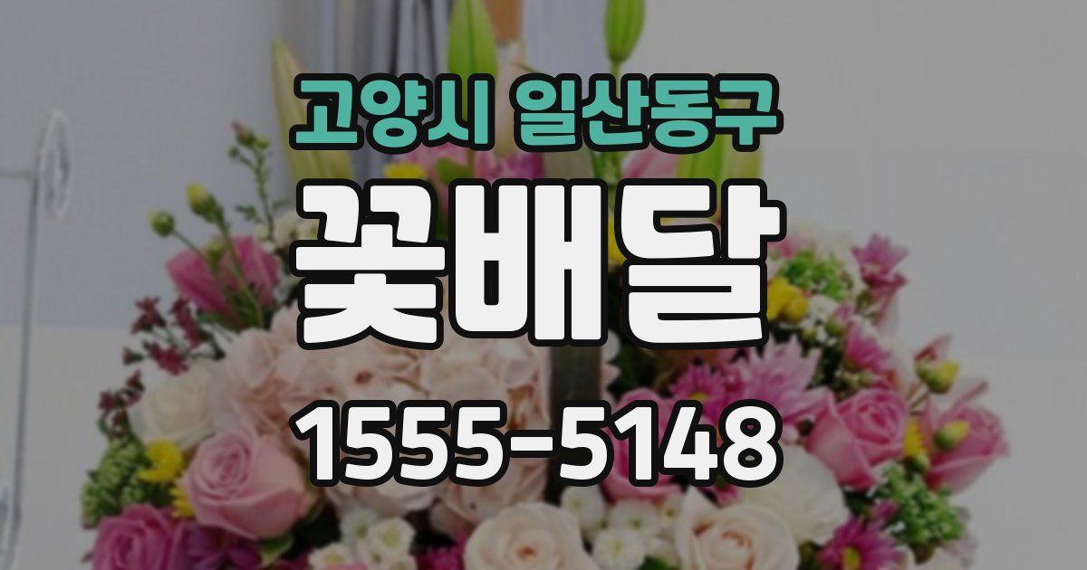 고양시 일산동구 꽃배달