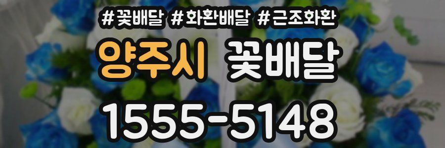 양주시 꽃배달