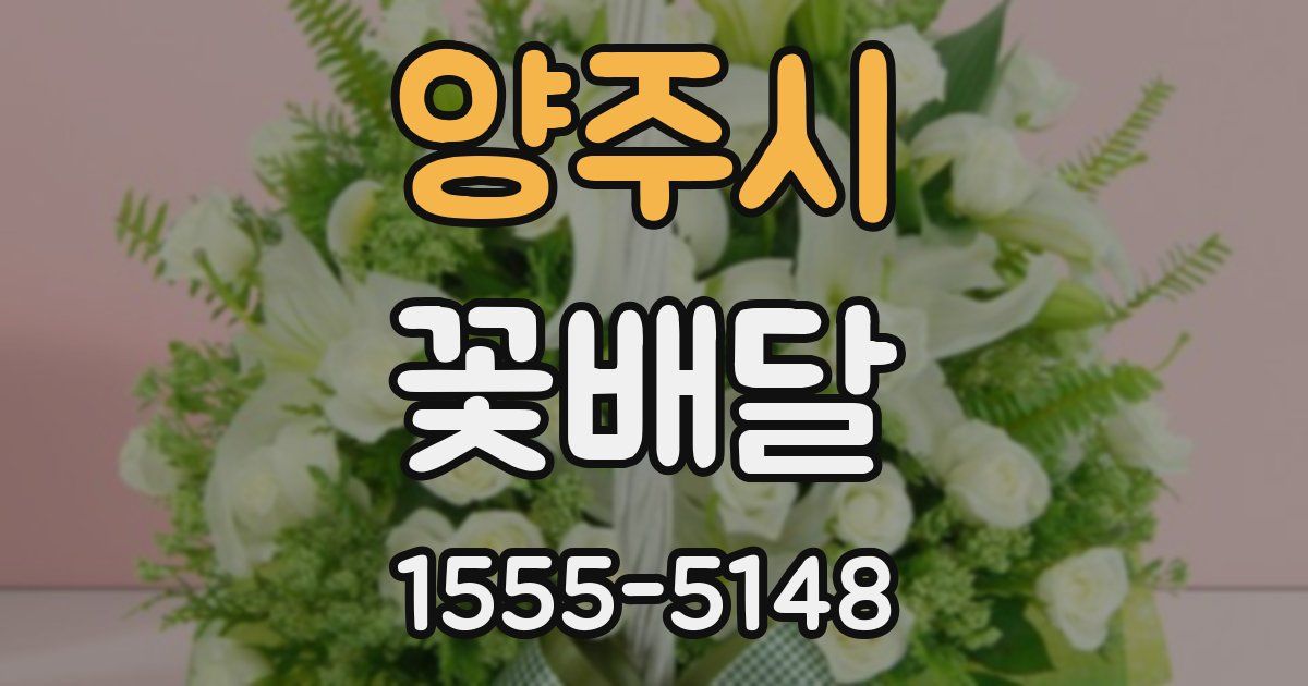 양주시 꽃배달