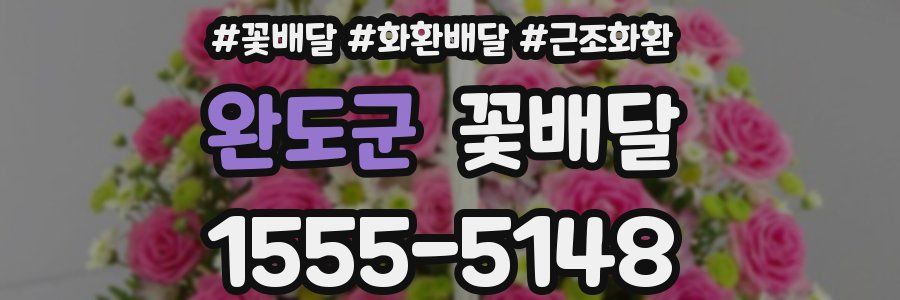 완도군 꽃배달