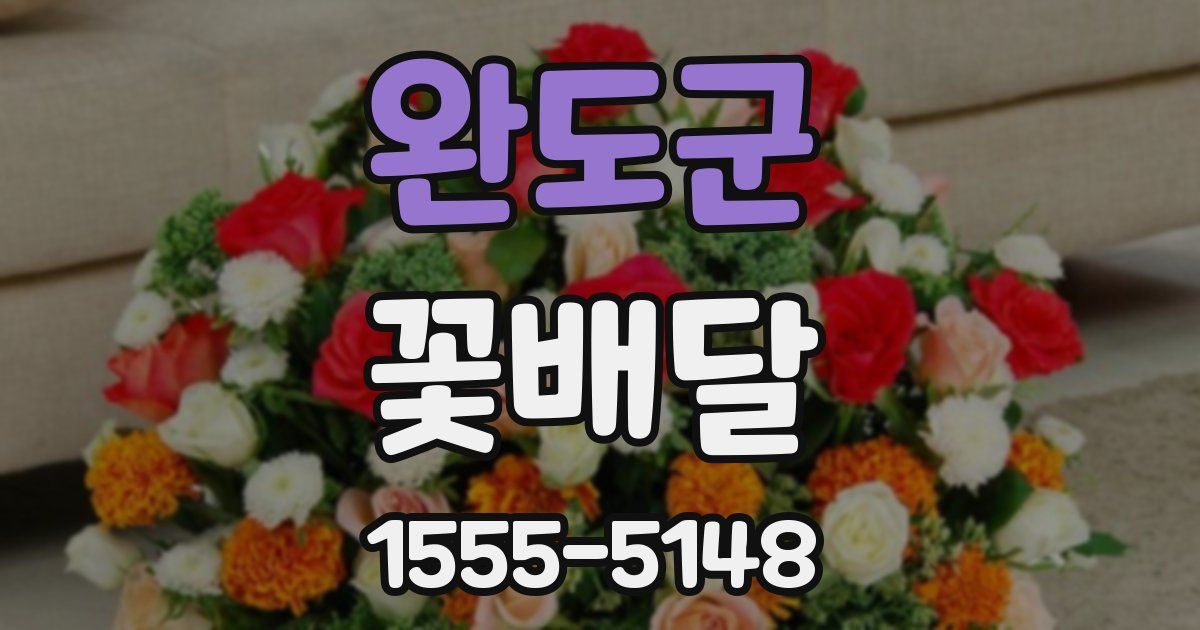 완도군 꽃배달