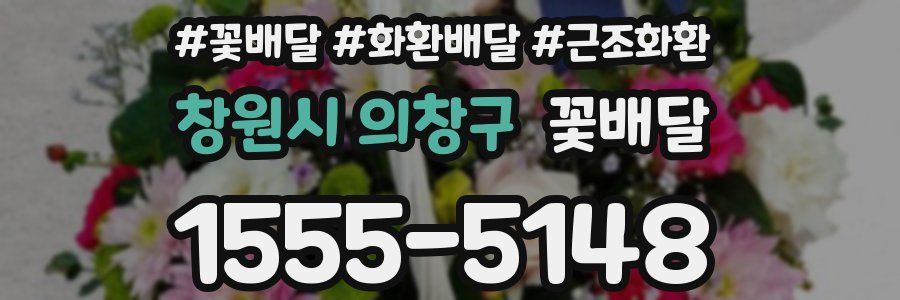 창원시 의창구 꽃배달
