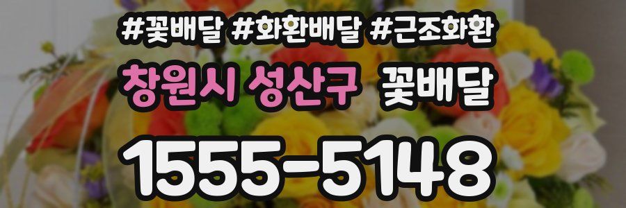창원시 성산구 꽃배달