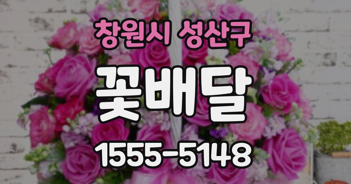 창원시 성산구 꽃배달
