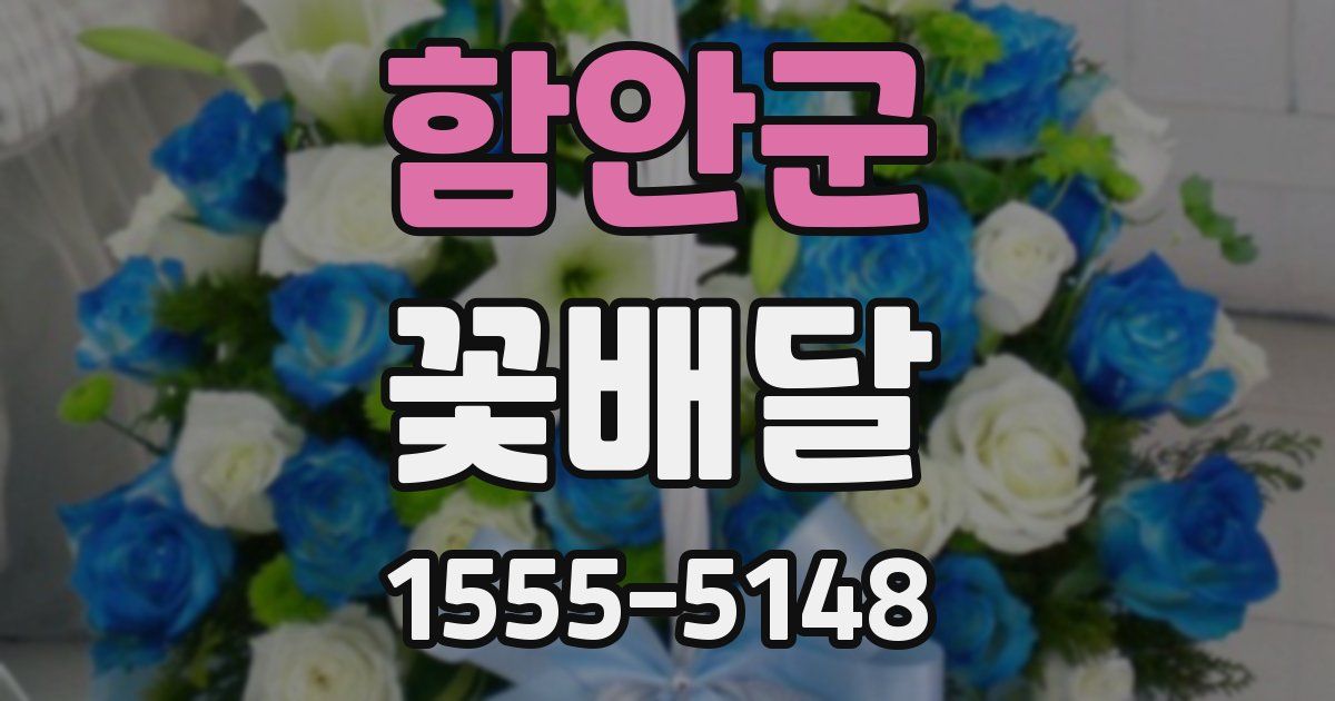함안군 꽃배달