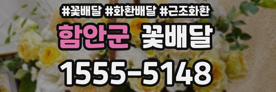 함안군 꽃배달