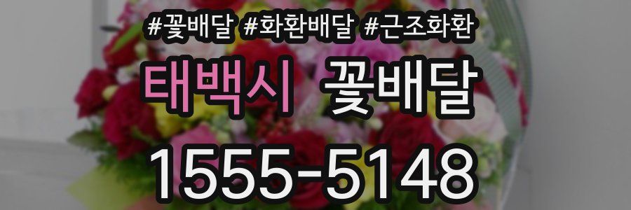 태백시 꽃배달