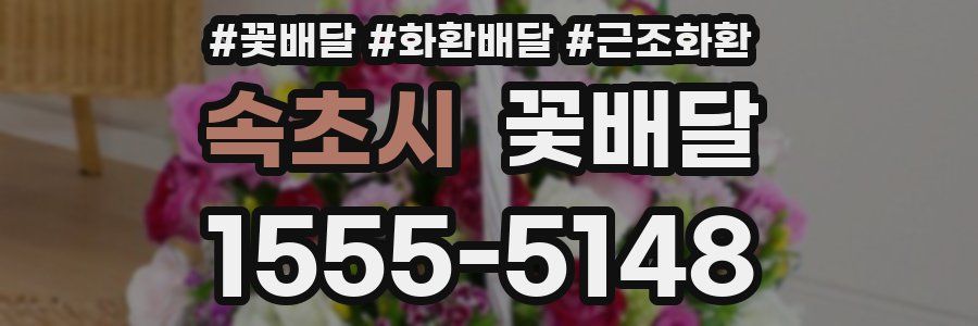 속초시 꽃배달