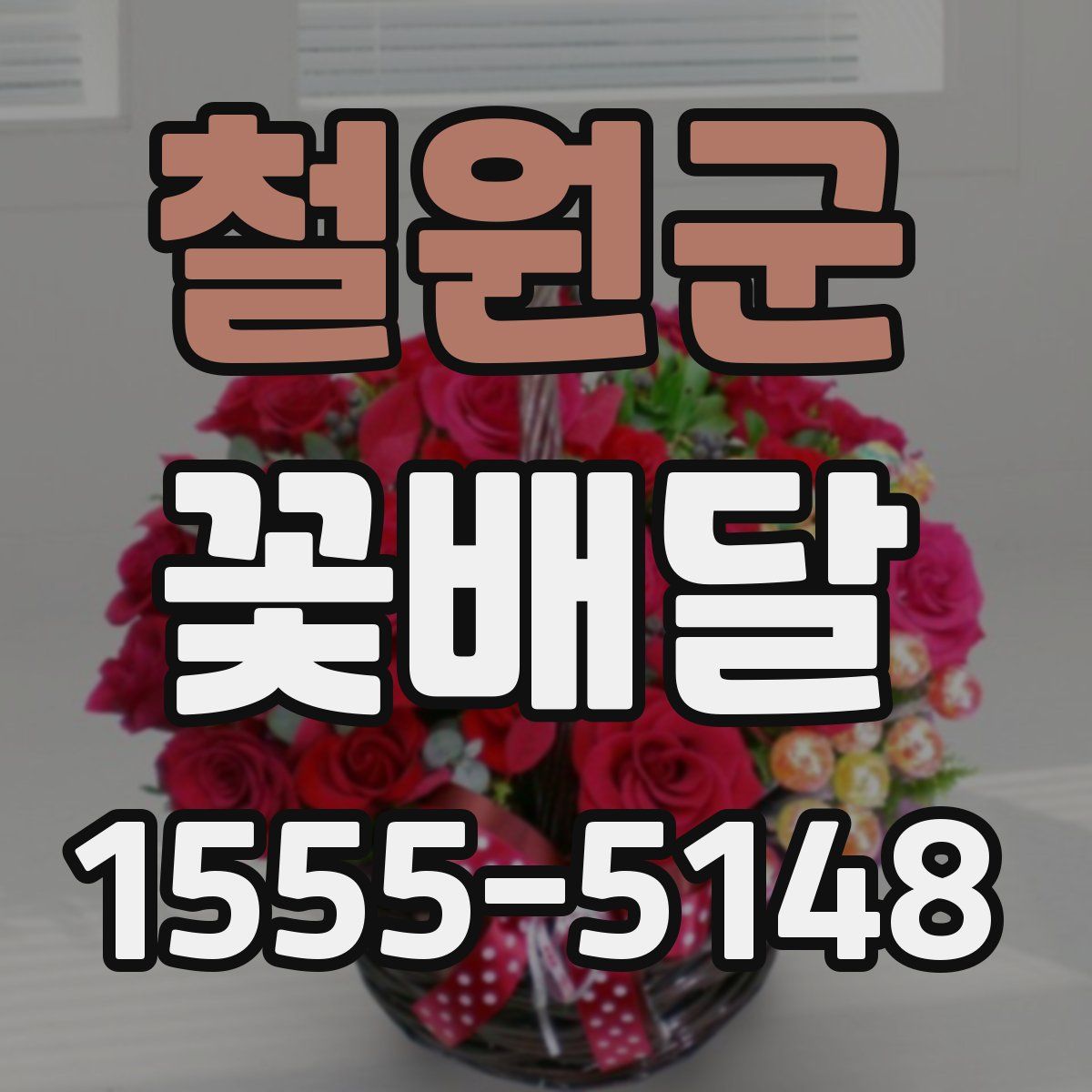 철원군 꽃배달