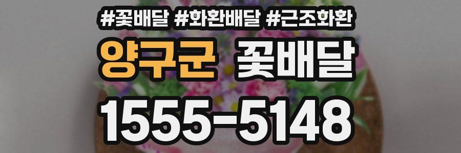 양구군 꽃배달