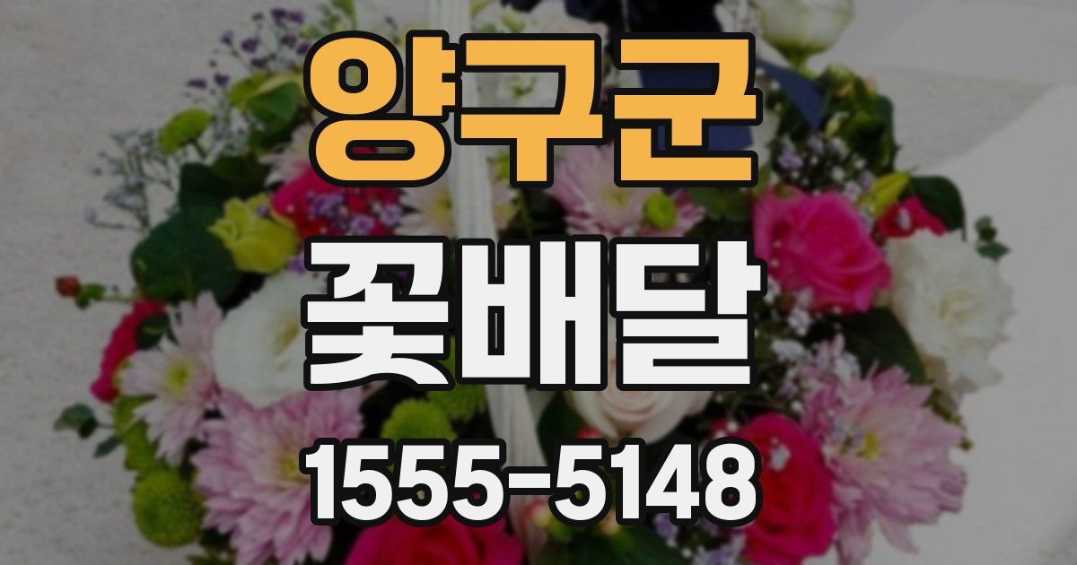 양구군 꽃배달