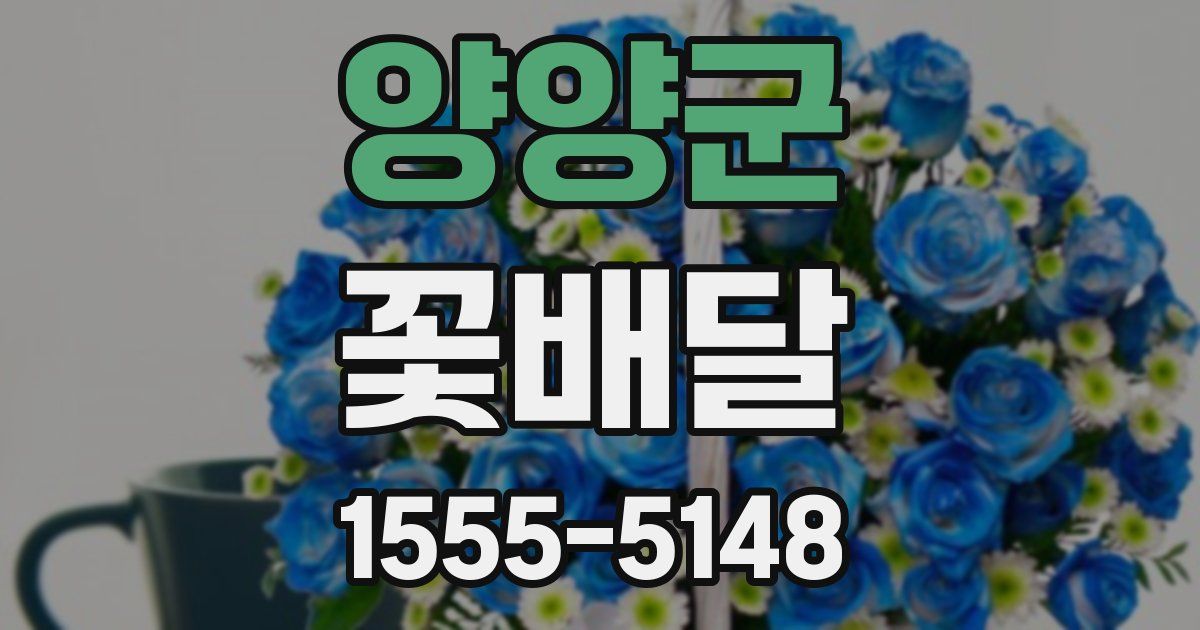 양양군 꽃배달