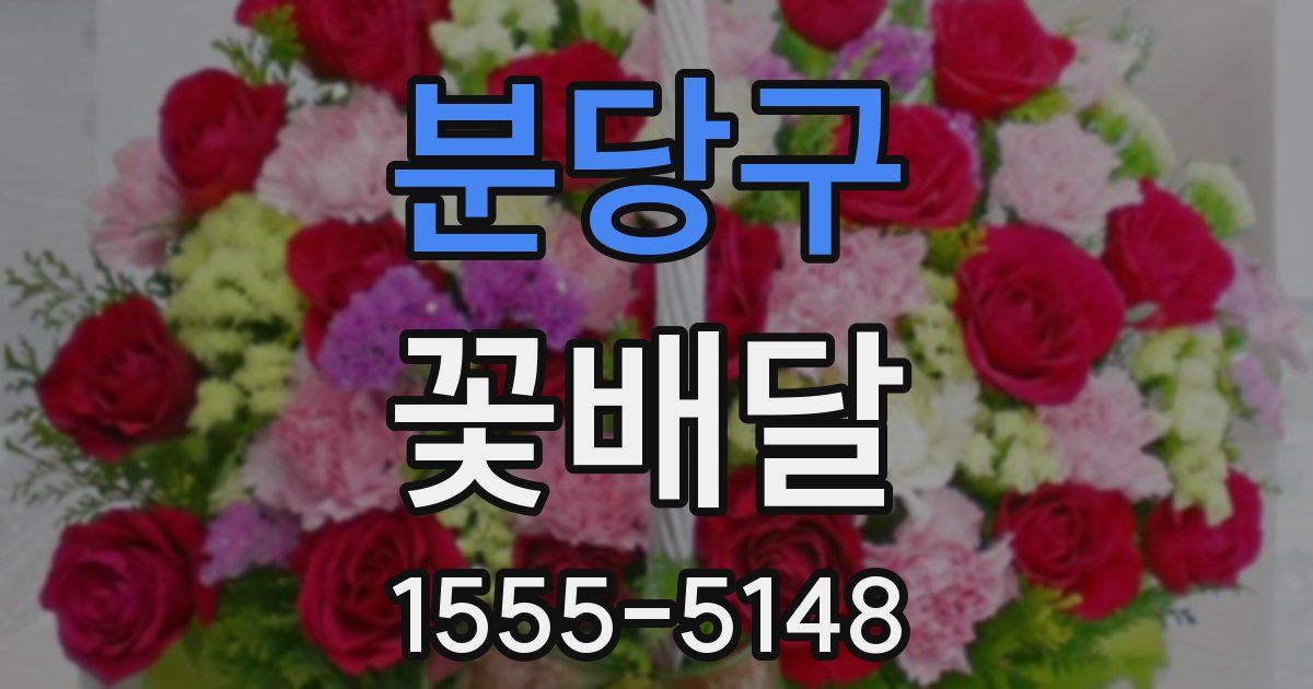 분당구 꽃배달