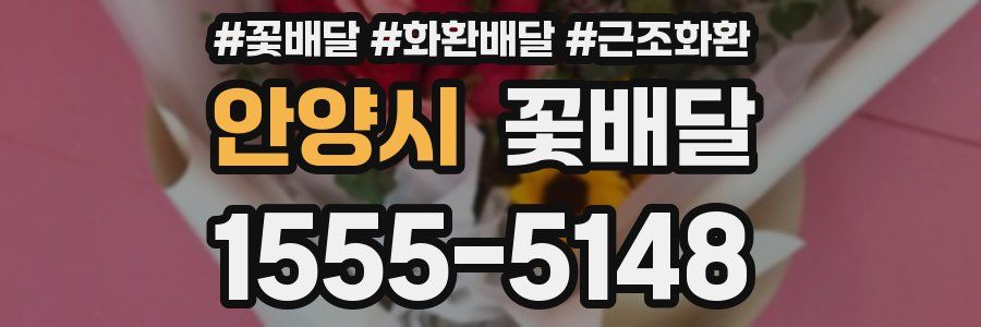 안양시 꽃배달