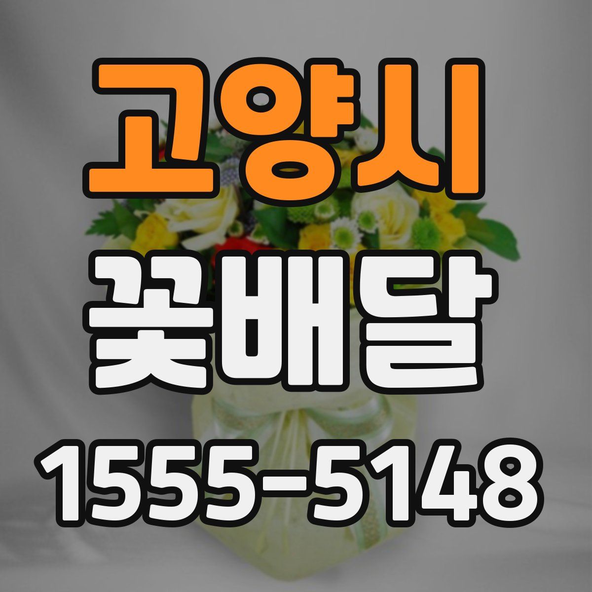 고양시 꽃배달