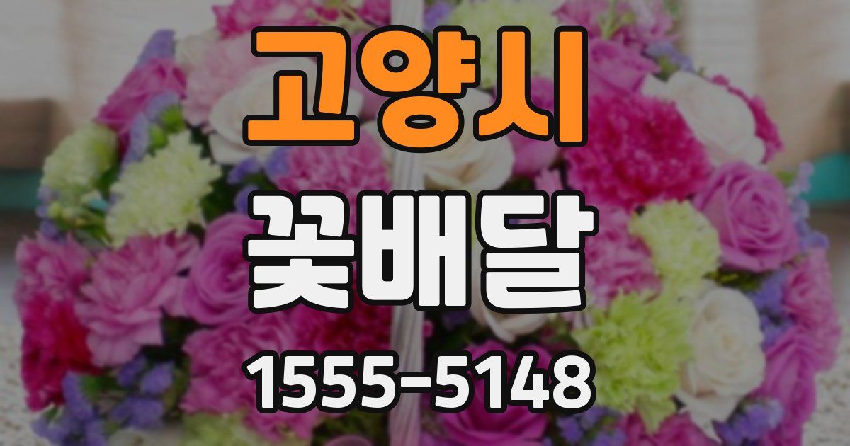 고양시 꽃배달
