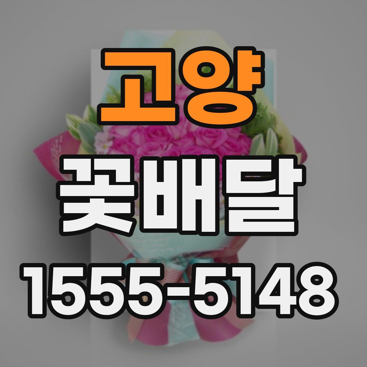 고양 꽃배달