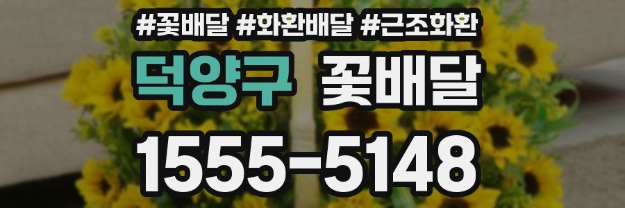 덕양구 꽃배달