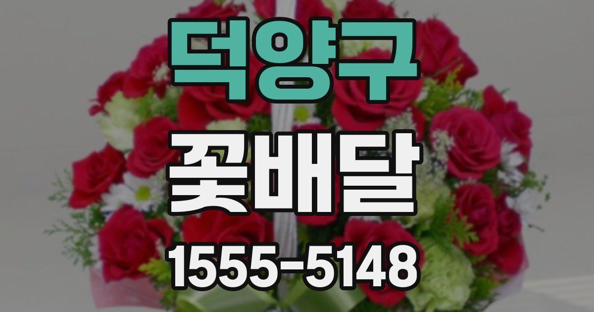 덕양구 꽃배달