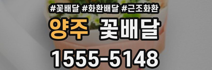 양주 꽃배달