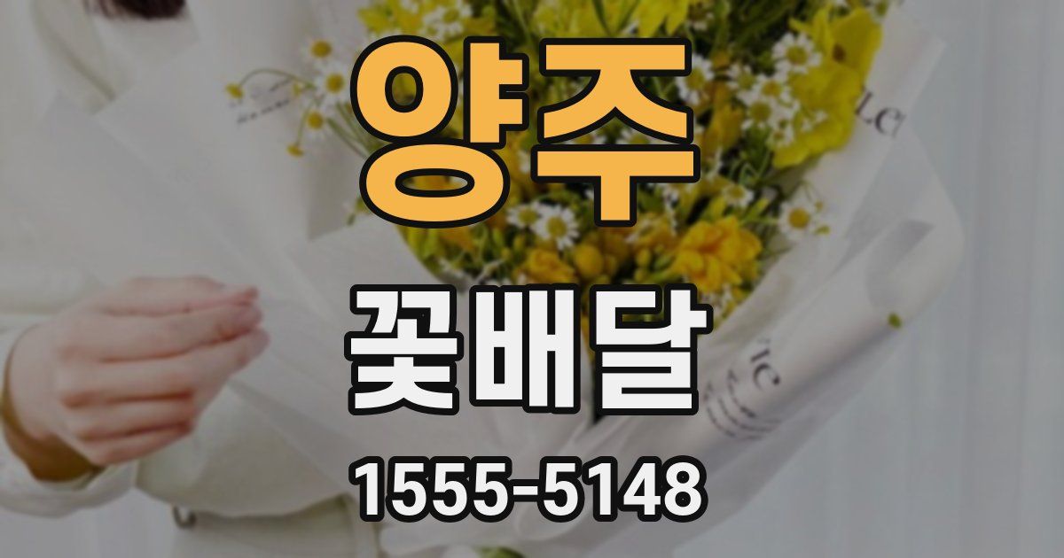 양주 꽃배달