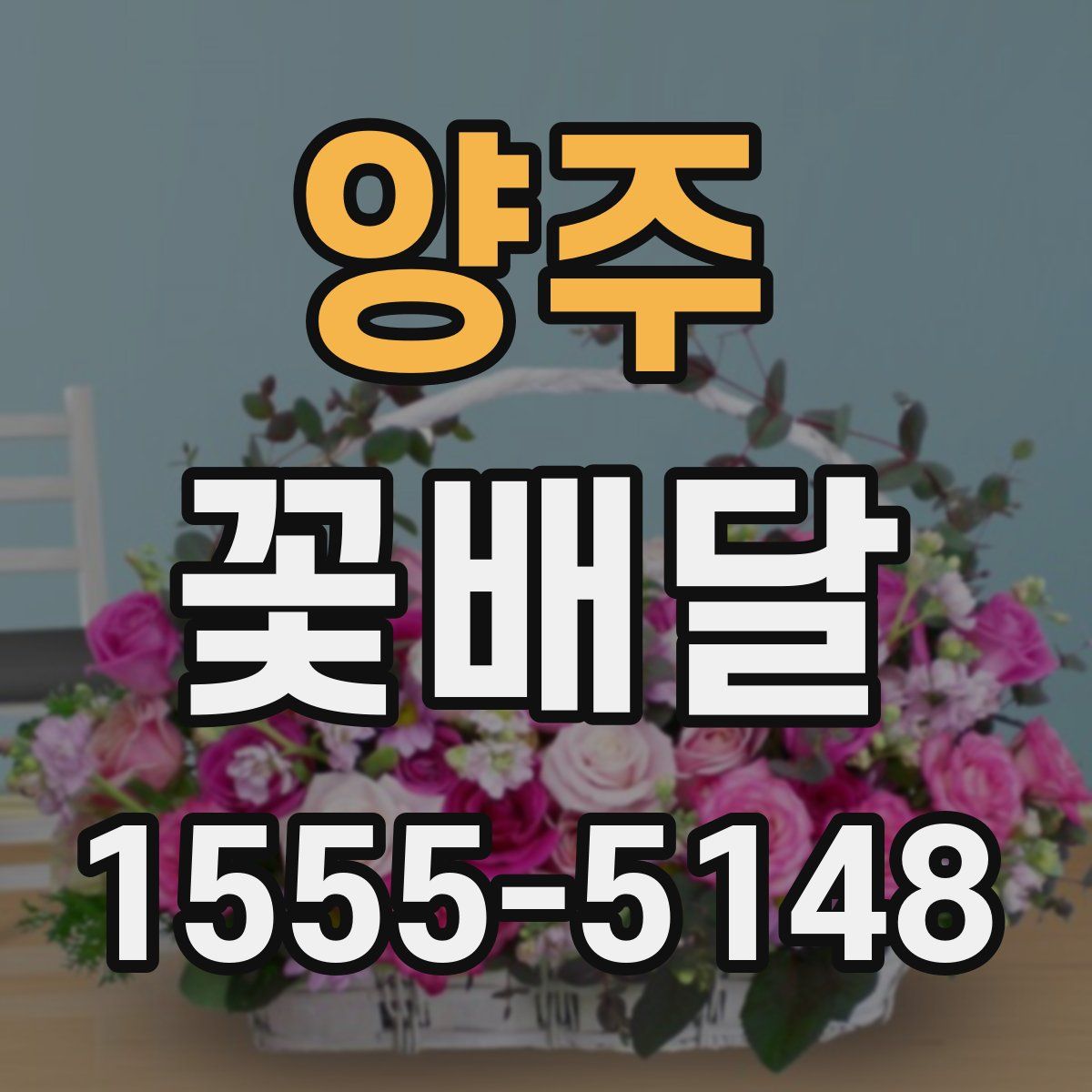 양주 꽃배달
