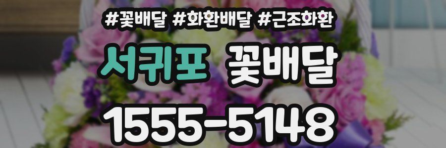 서귀포 꽃배달