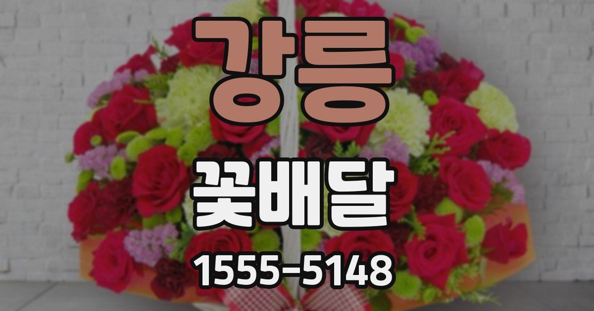 강릉 꽃배달
