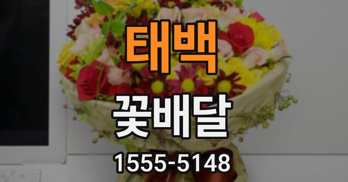 태백 꽃배달
