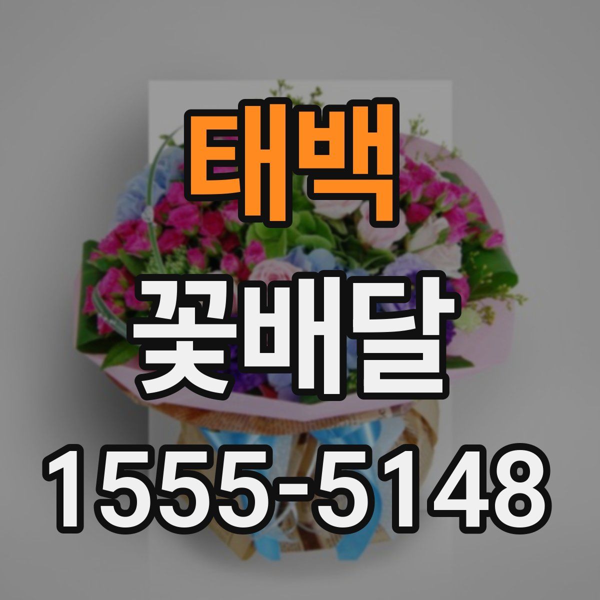 태백 꽃배달