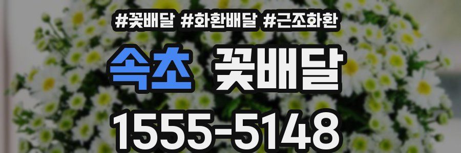 속초 꽃배달