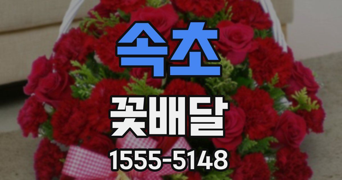 속초 꽃배달