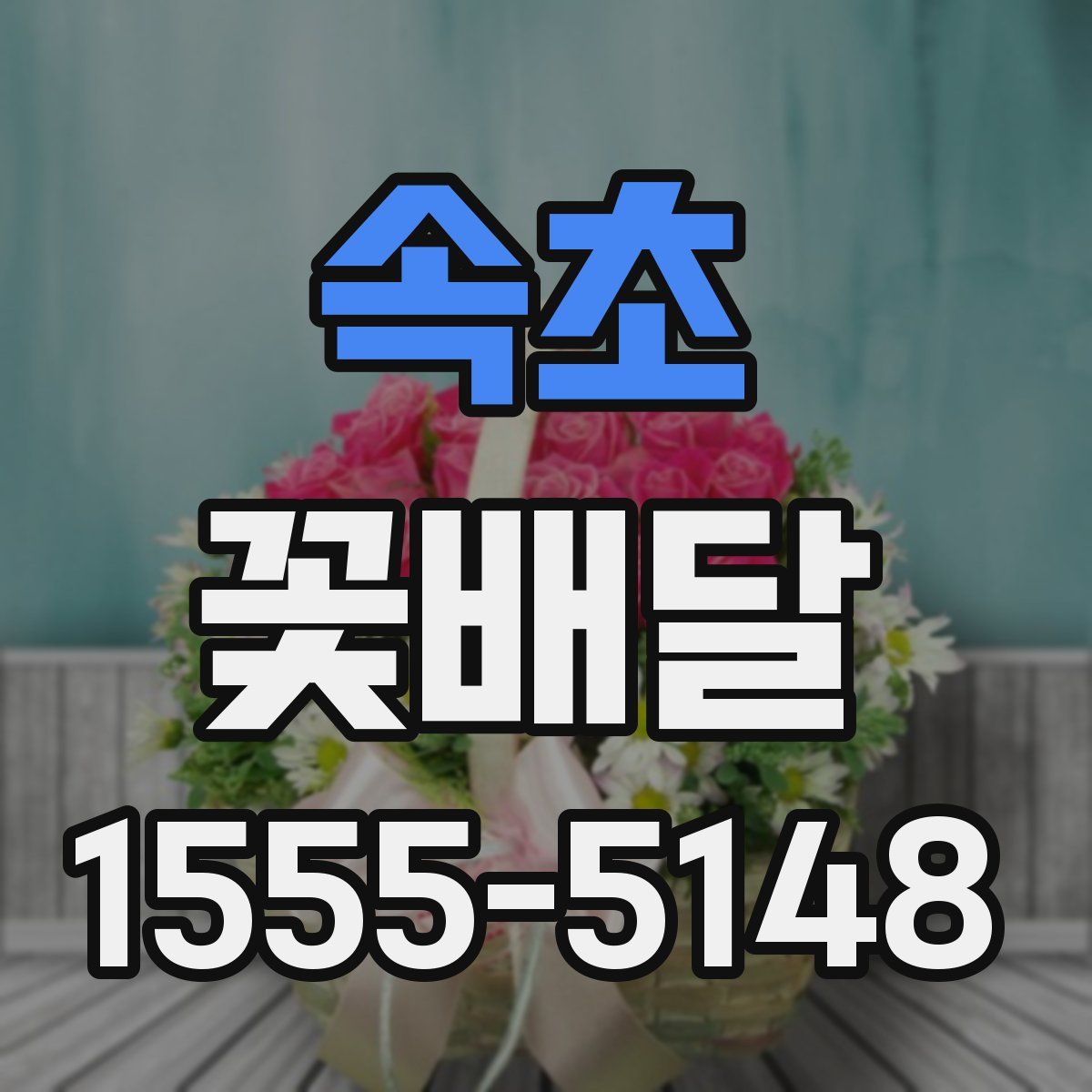 속초 꽃배달