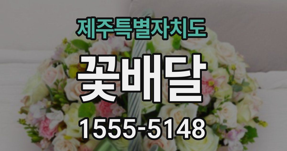 제주특별자치도 꽃배달