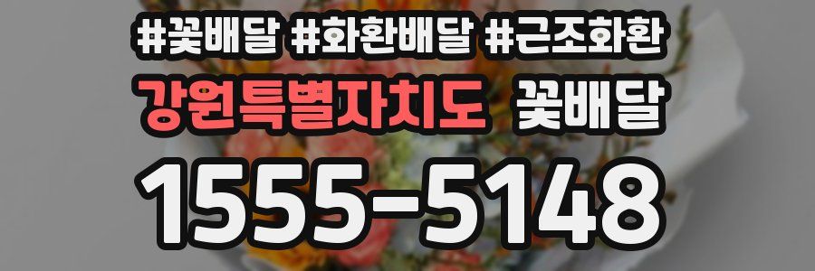 강원특별자치도 꽃배달