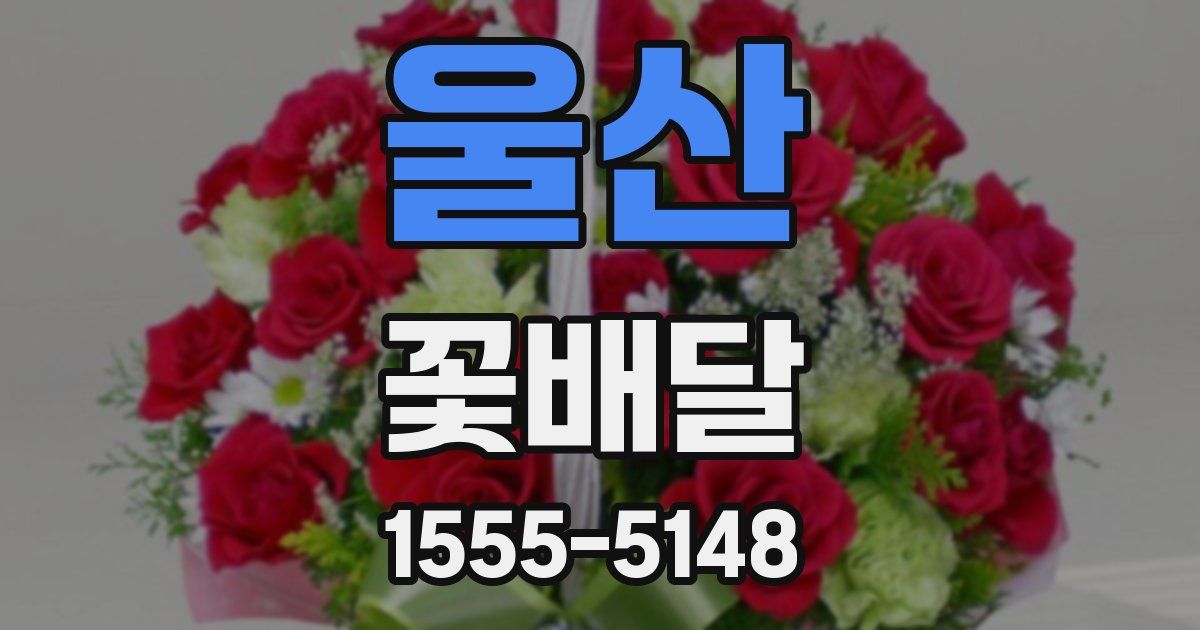 울산 꽃배달