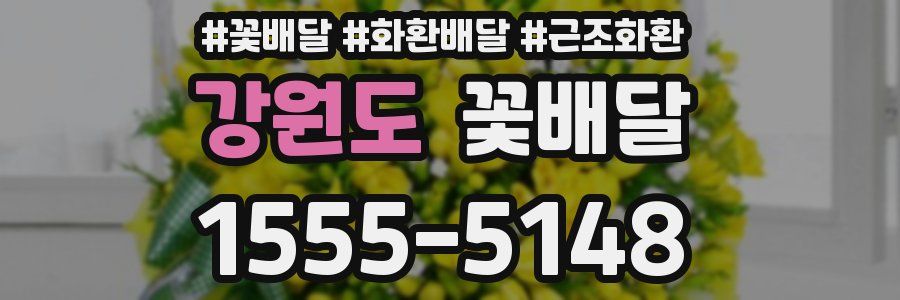 강원도 꽃배달
