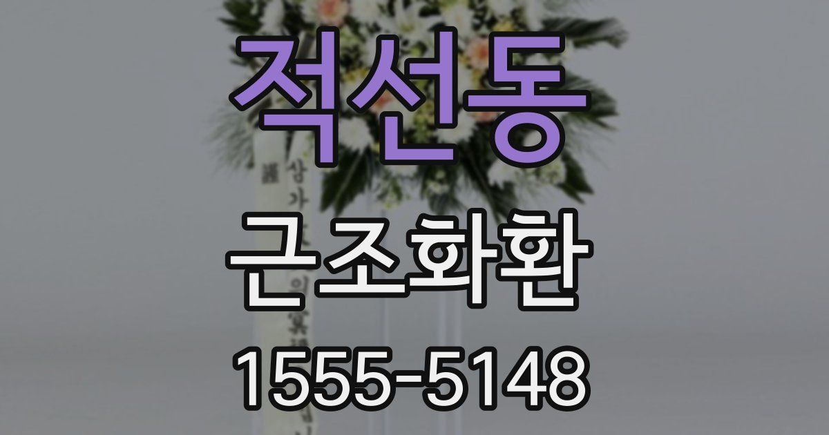 적선동 근조화환