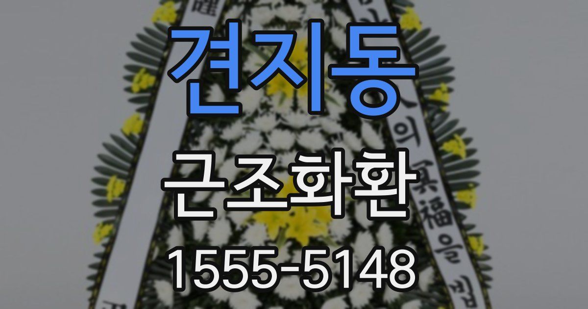 견지동 근조화환