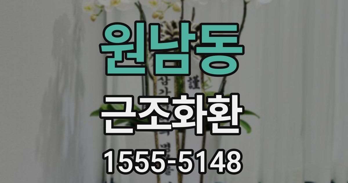 원남동 근조화환