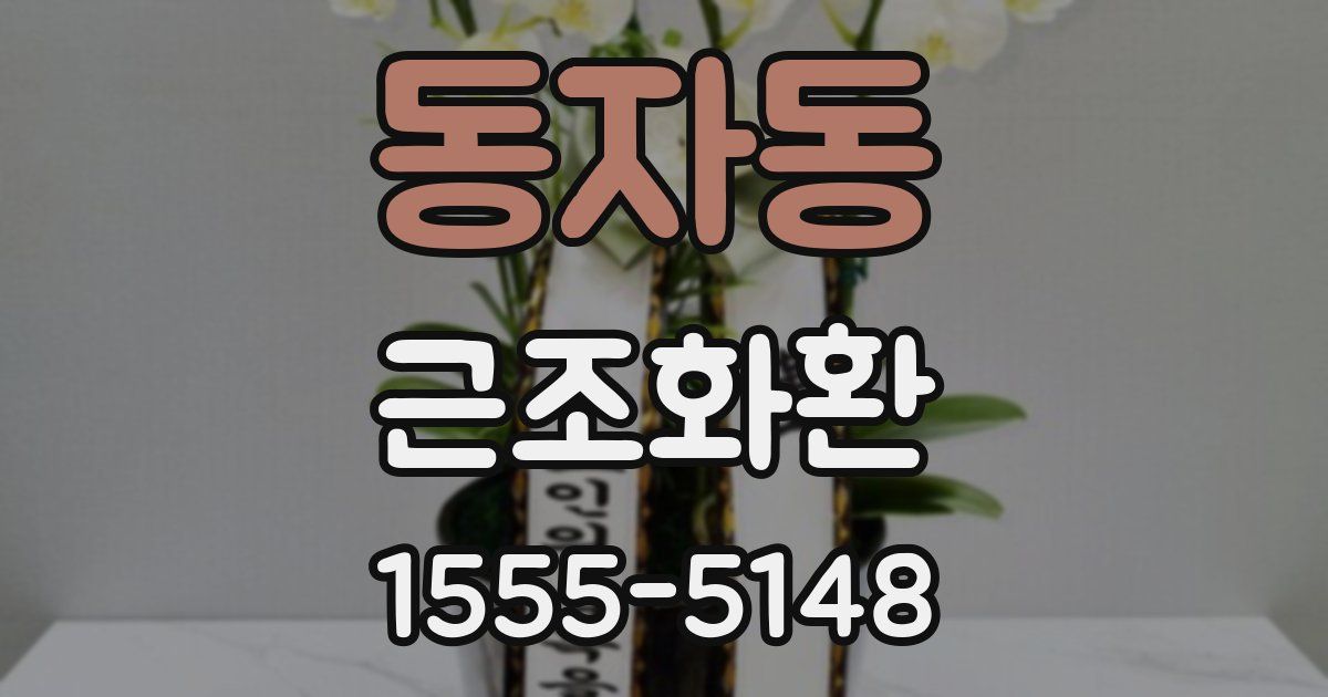 동자동 근조화환