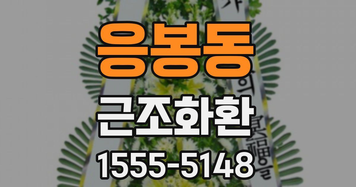 응봉동 근조화환