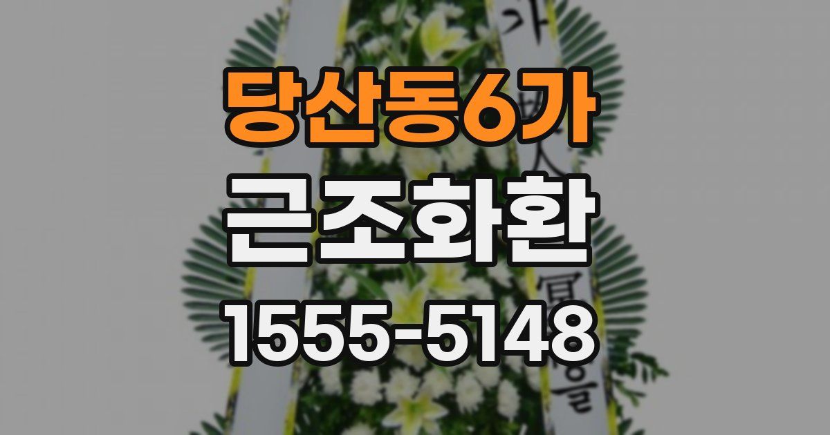 당산동6가 근조화환
