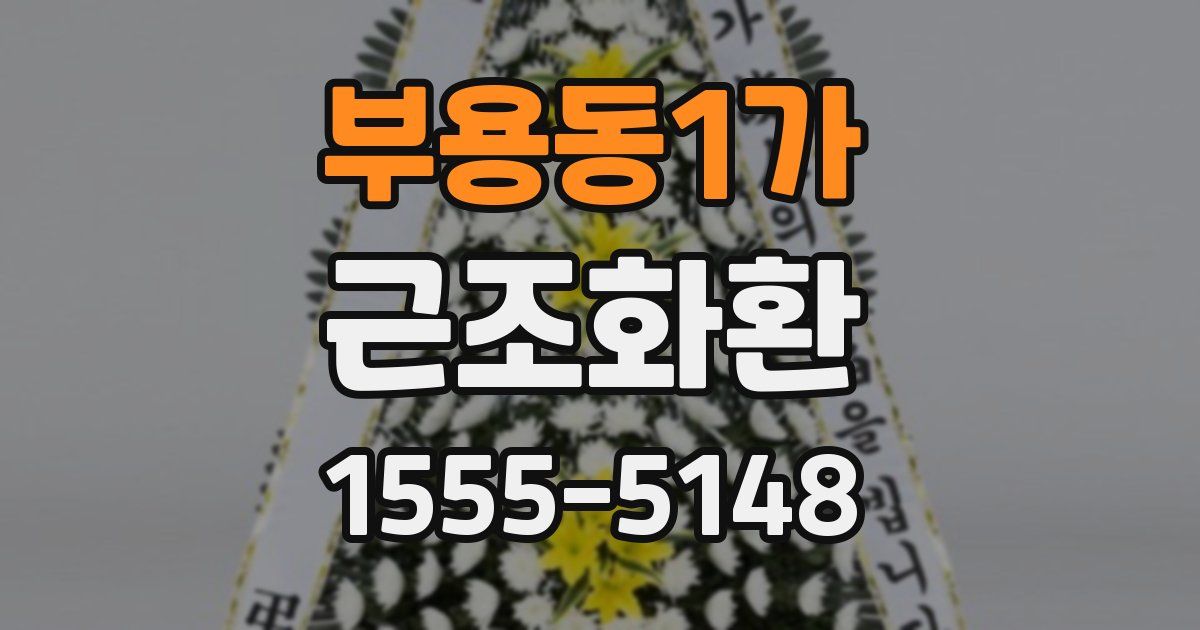 부용동1가 근조화환