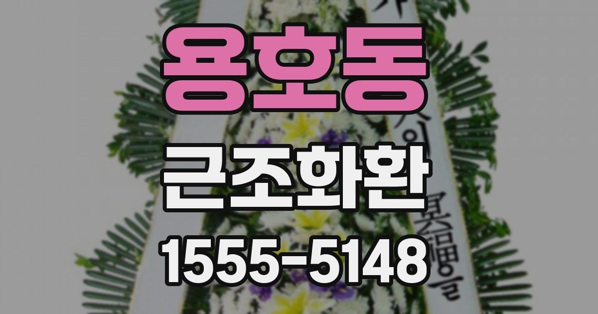 용호동 근조화환