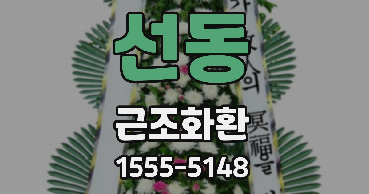 선동 근조화환