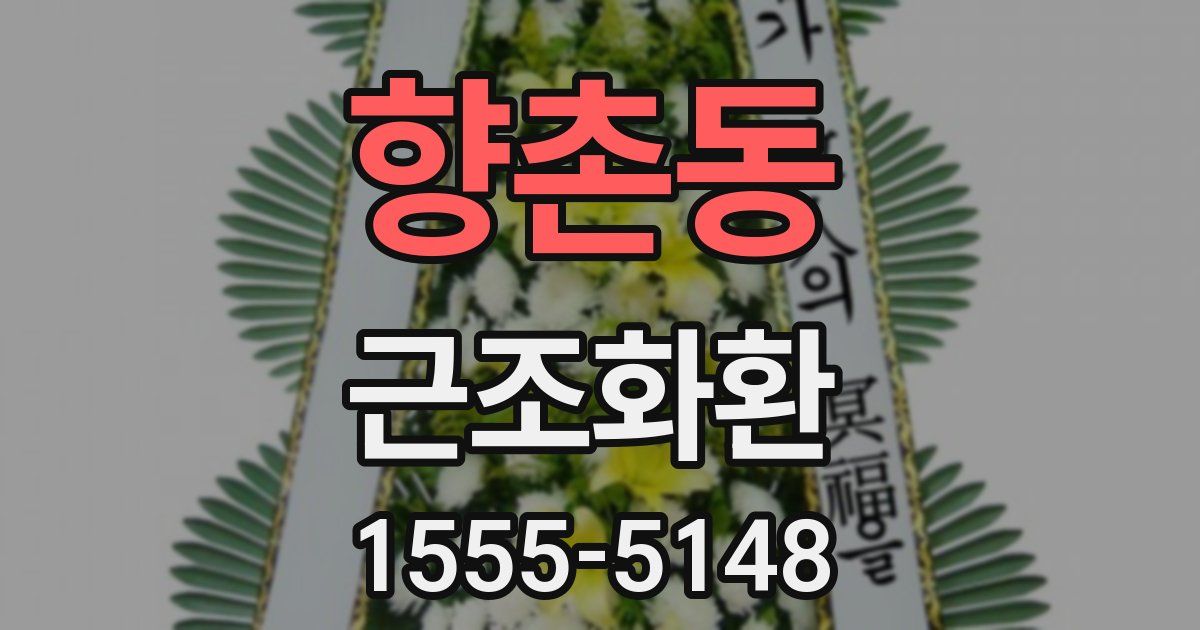 향촌동 근조화환