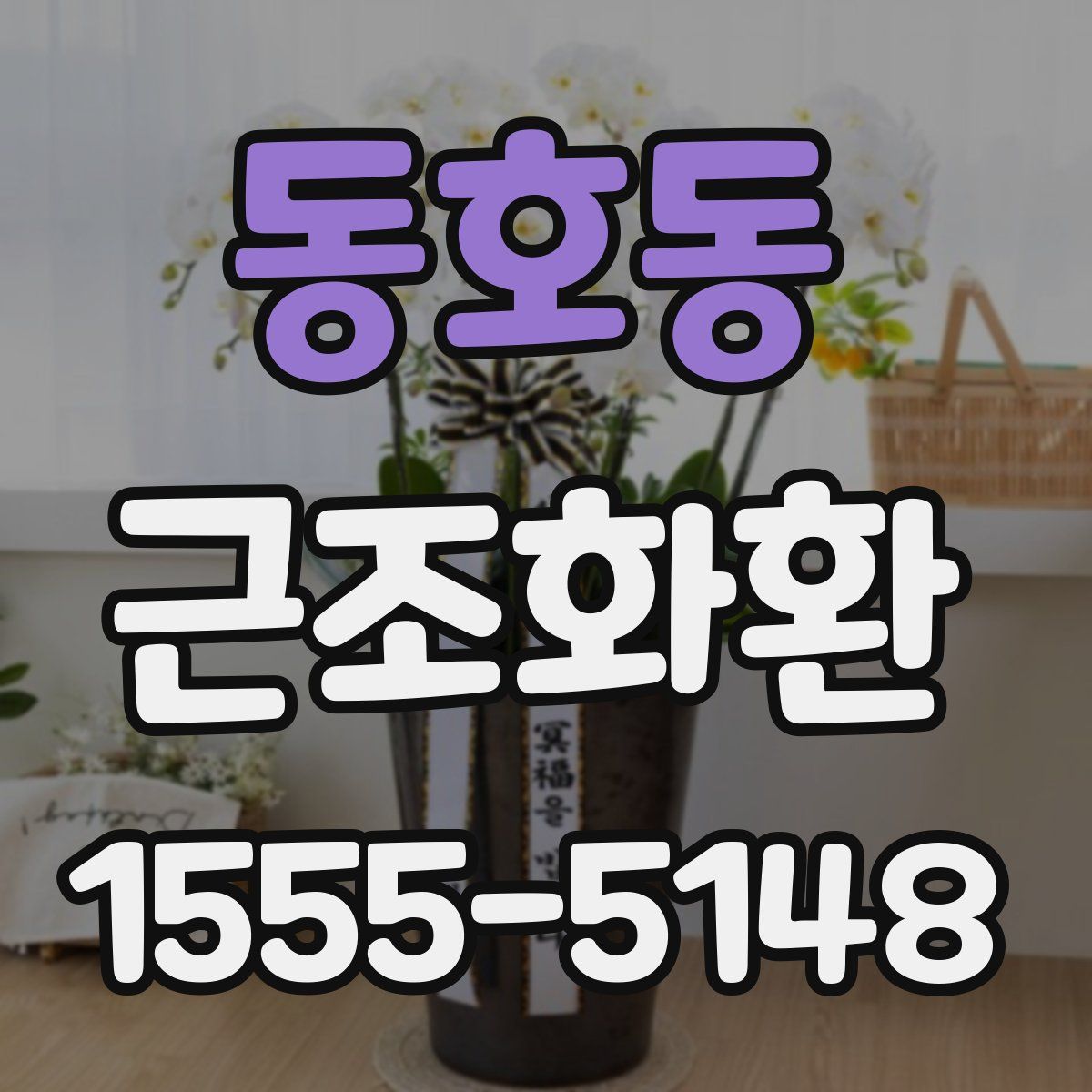 동호동 근조화환