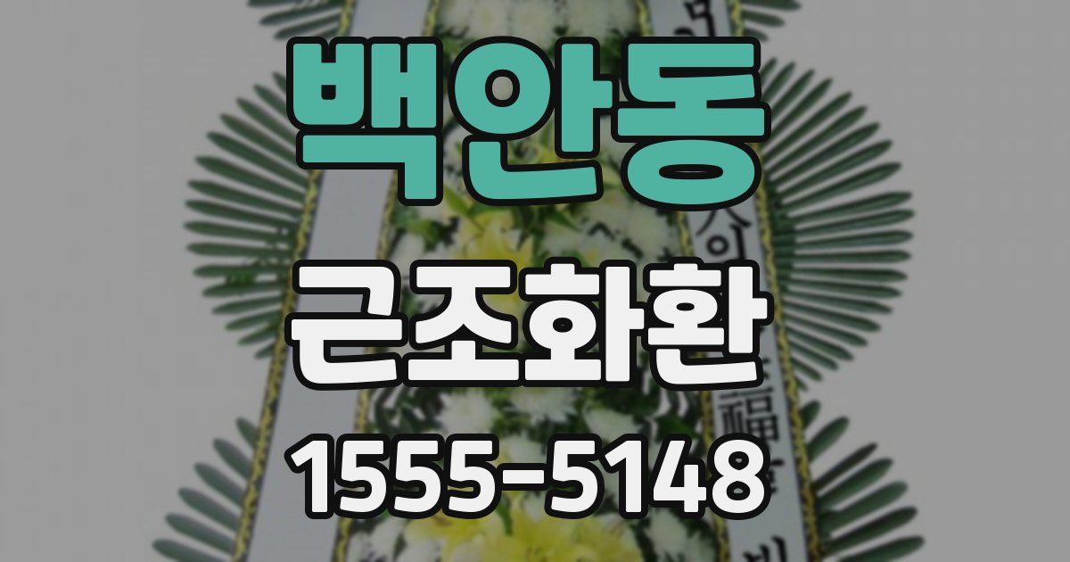 백안동 근조화환